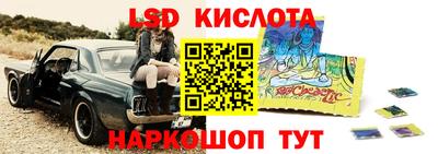 ПСИЛОЦИБИНОВЫЕ ГРИБЫ Камышлов