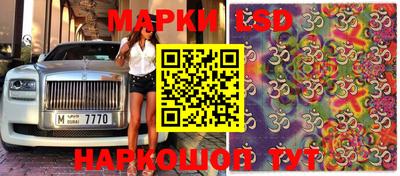 ПСИЛОЦИБИНОВЫЕ ГРИБЫ Камышлов