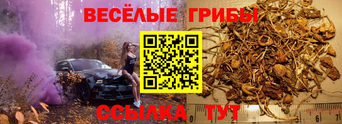 Галлюциногенные грибы GOLDEN TEACHER Кузнецк