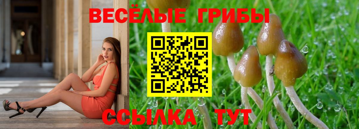 Кузнецк  наркота  Вход с VPN  Галлюциногенные грибы MAGIC MUSHROOMS 